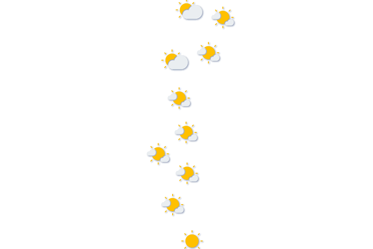 Forecast