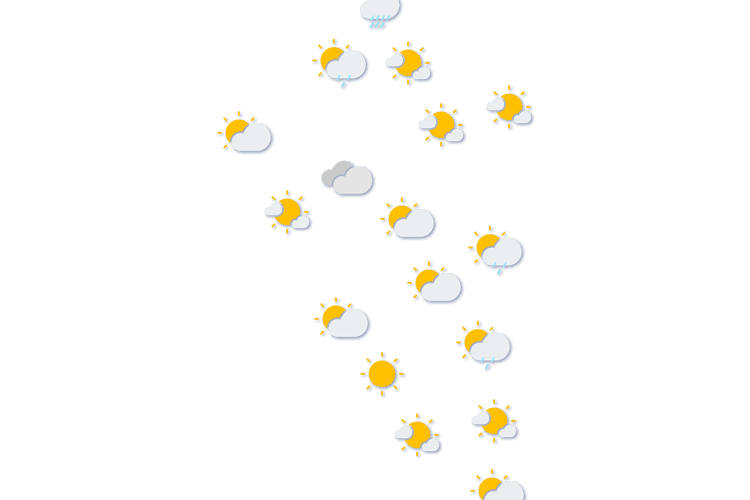 Forecast