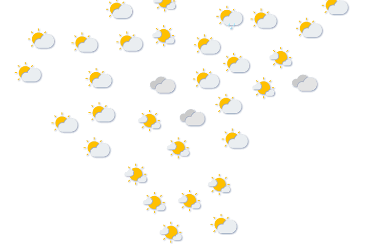 Forecast