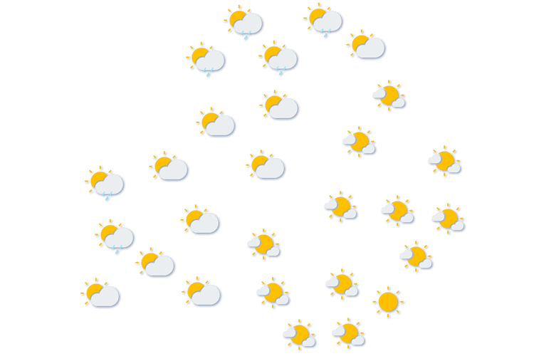 Forecast