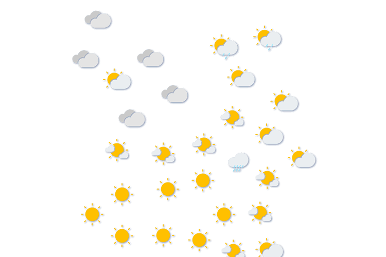 Forecast