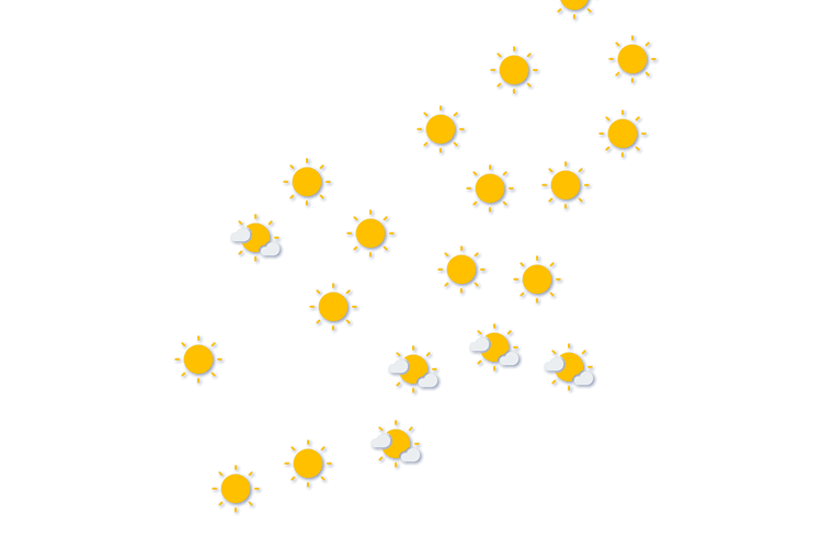 Forecast