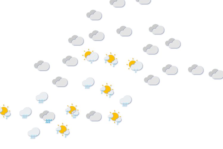 Forecast