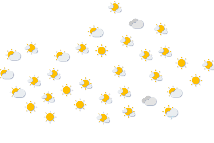 Forecast