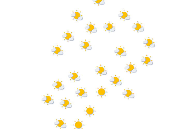 Forecast