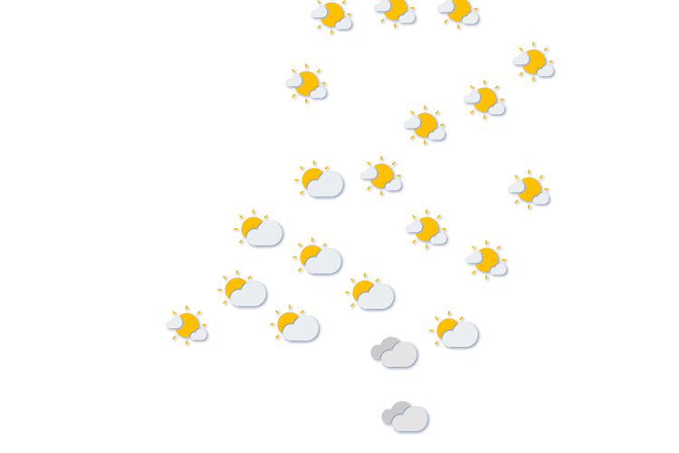 Forecast