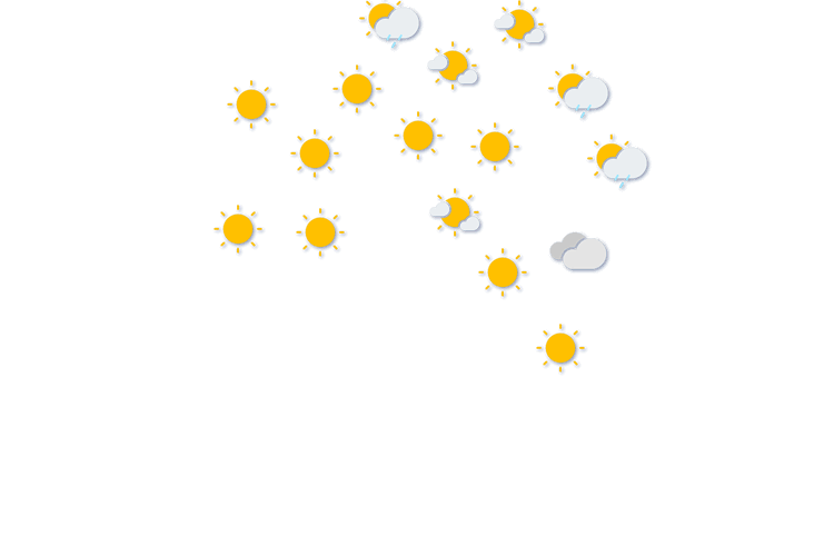 Forecast