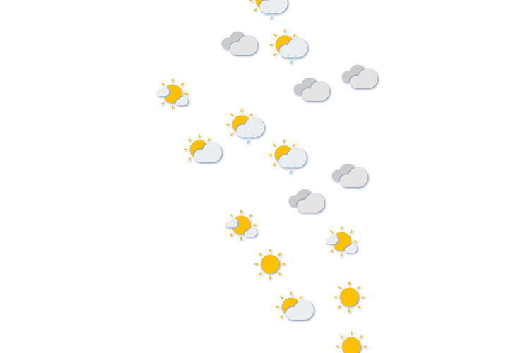 Forecast