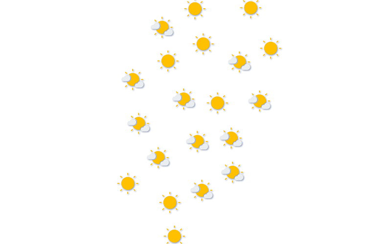 Forecast