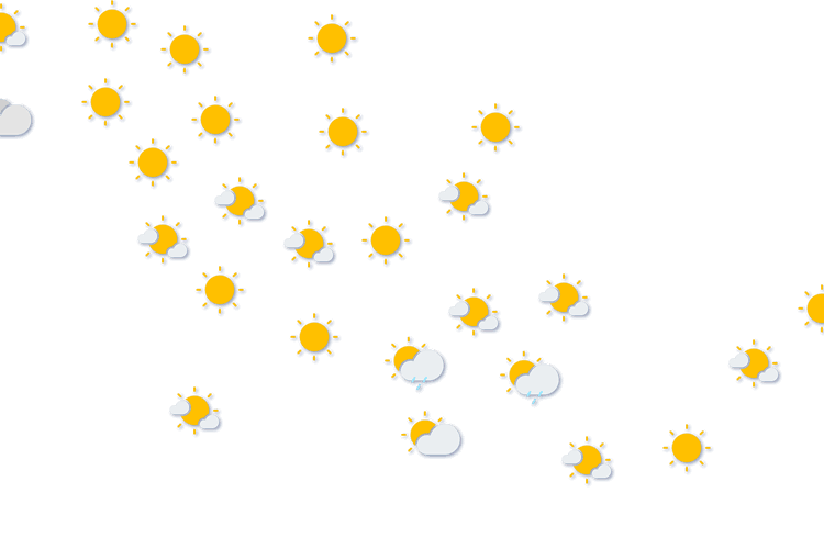 Forecast