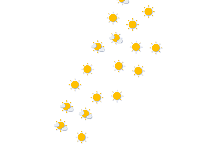 Forecast
