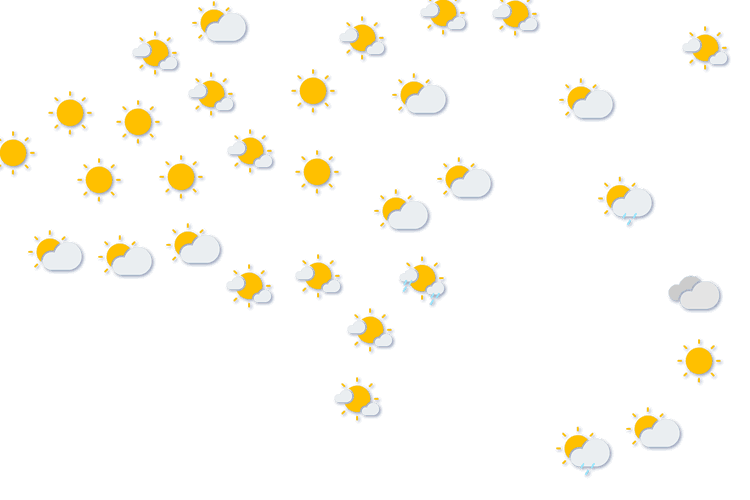Forecast