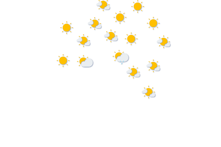 Forecast