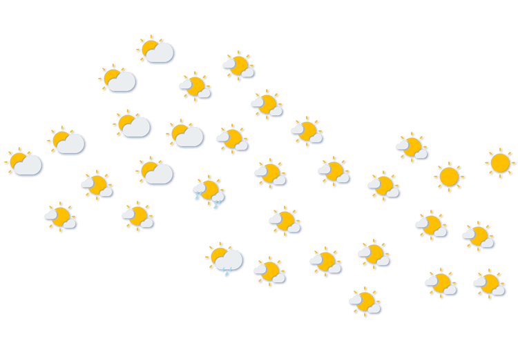 Forecast
