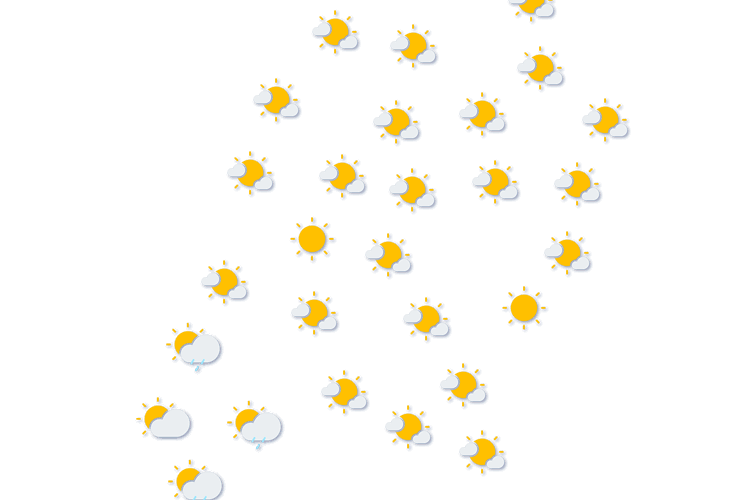 Forecast