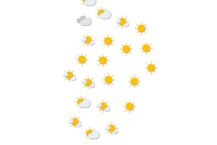Forecast