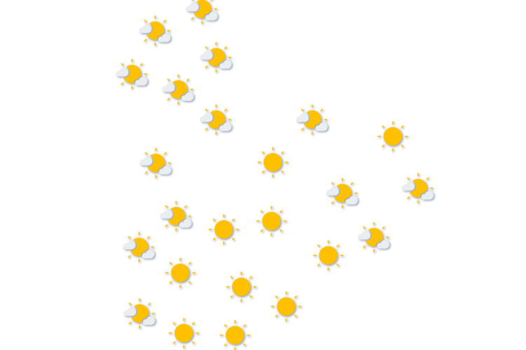 Forecast