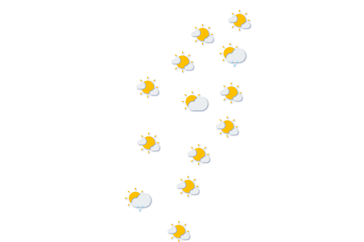 Forecast