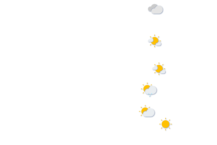 Forecast