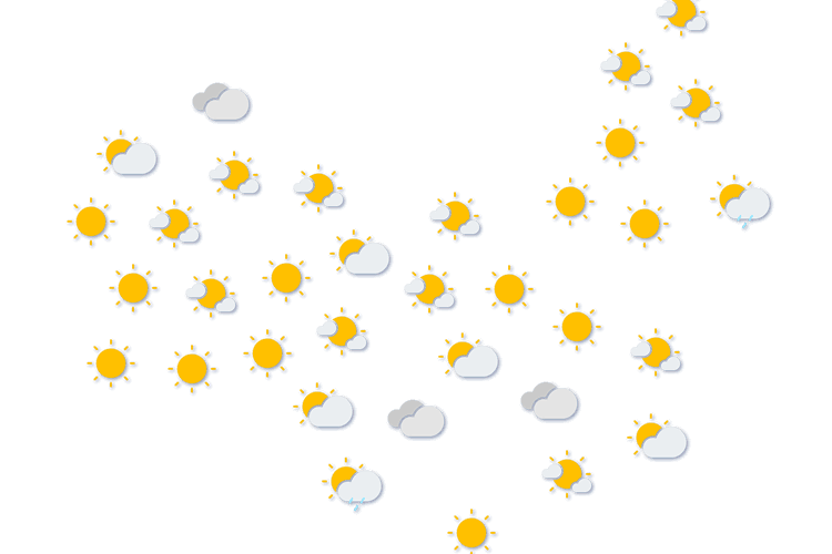 Forecast
