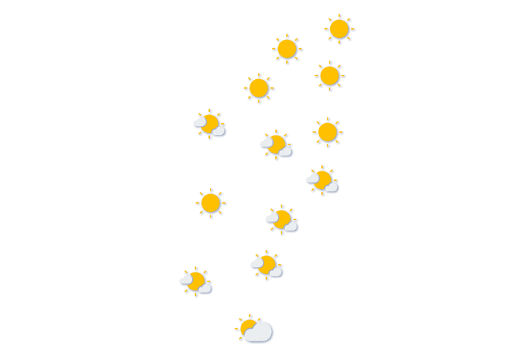 Forecast