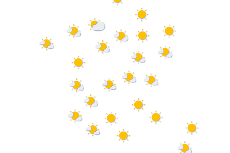 Forecast