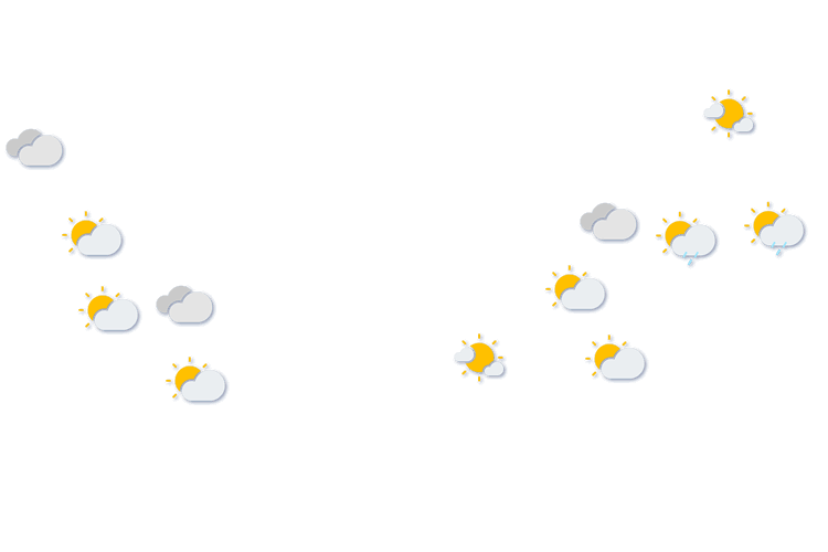 Forecast