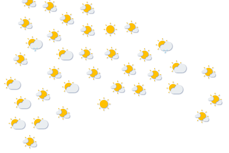 Forecast