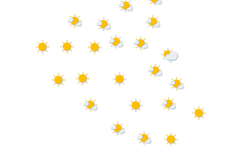 Forecast