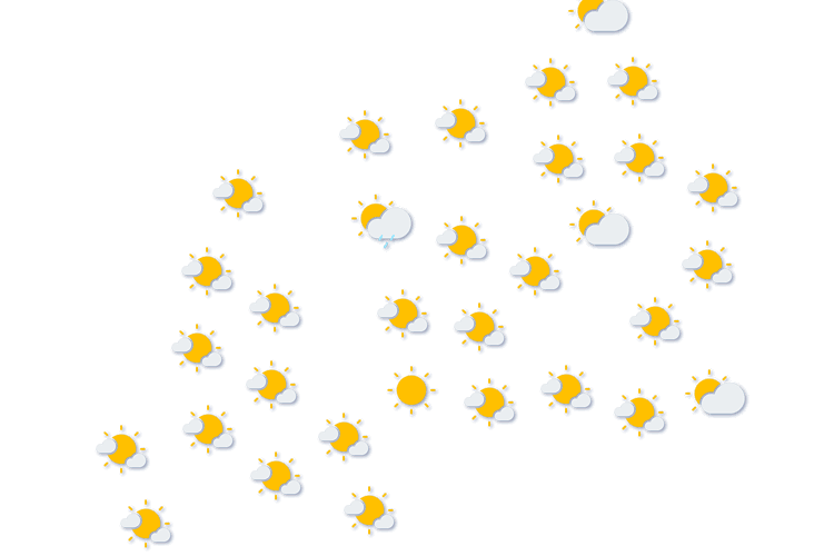 Forecast
