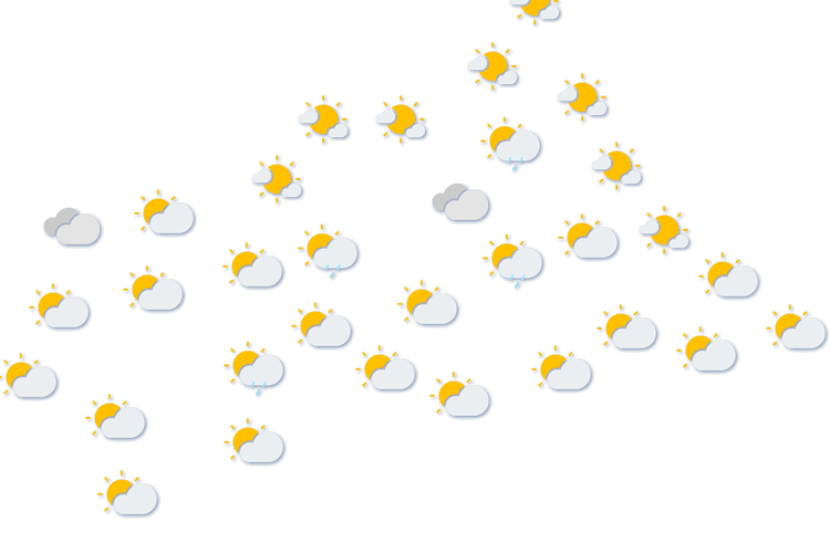 Forecast