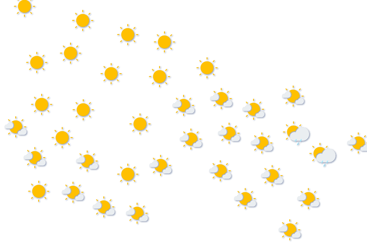 Forecast