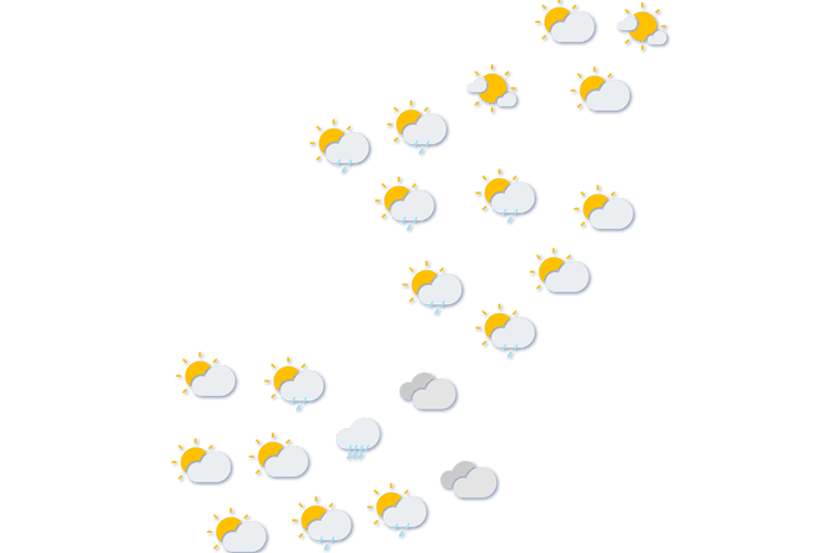 Forecast
