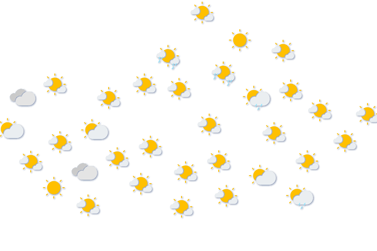 Forecast