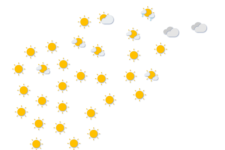 Forecast