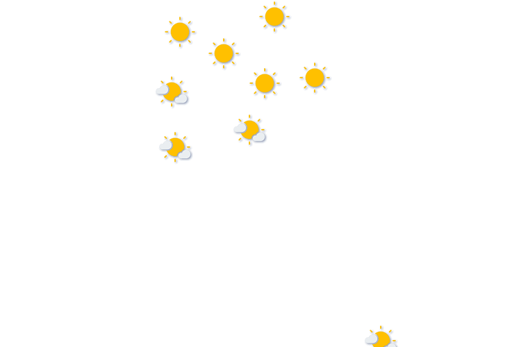 Forecast