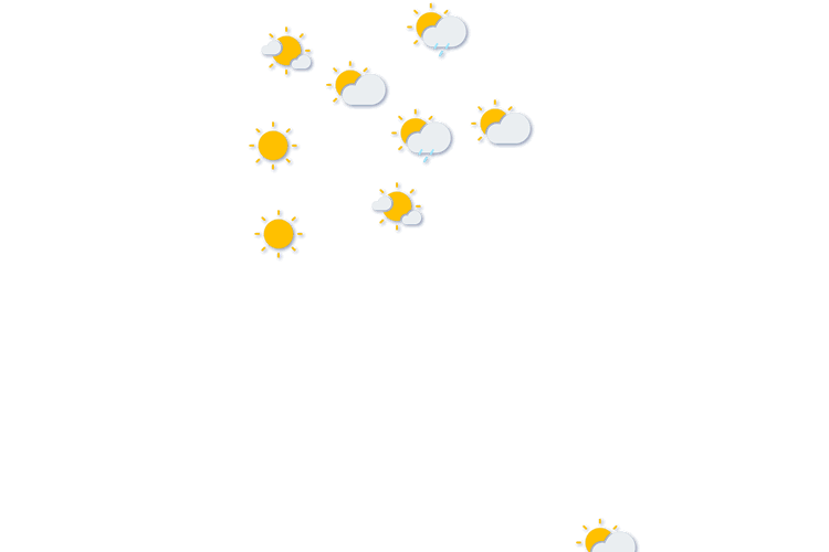 Forecast