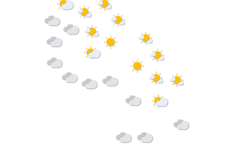 Forecast