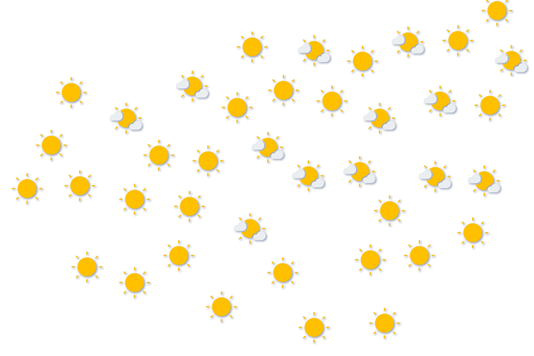 Forecast