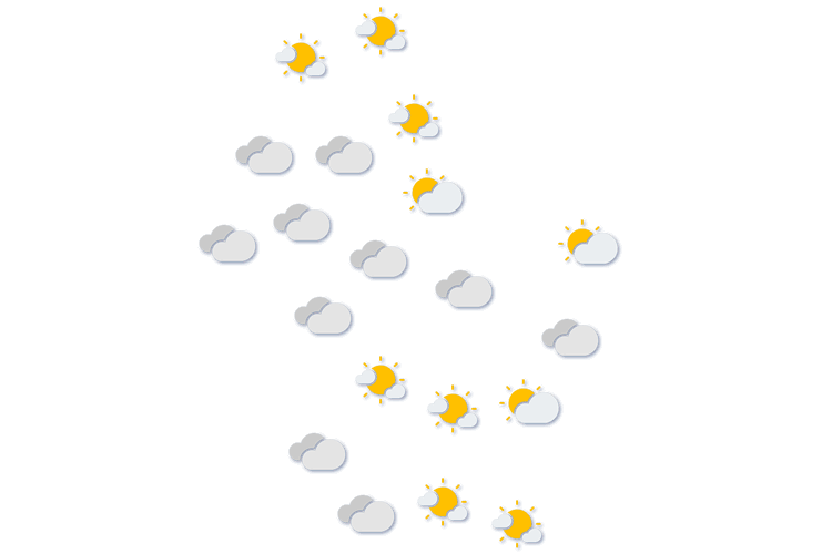 Forecast
