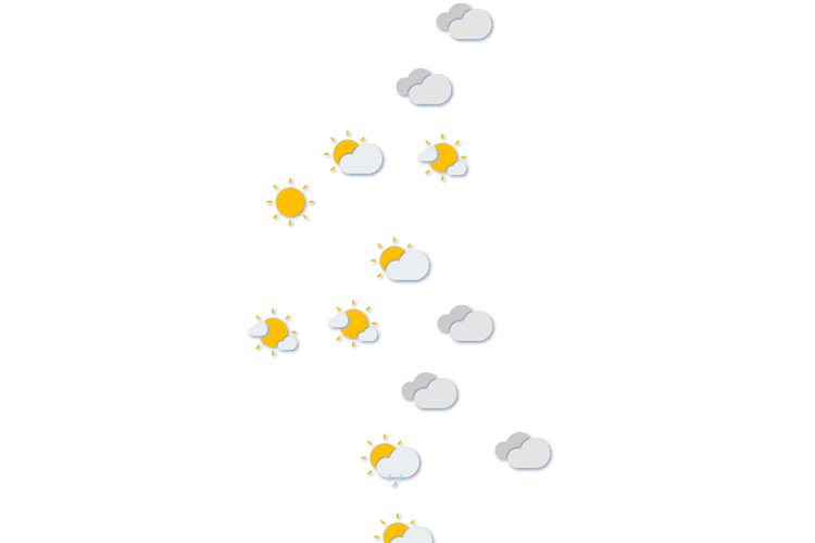Forecast
