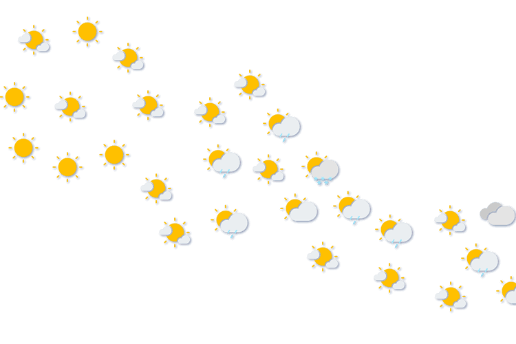 Forecast