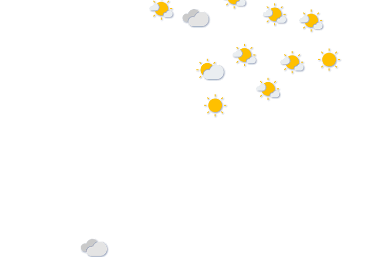 Forecast