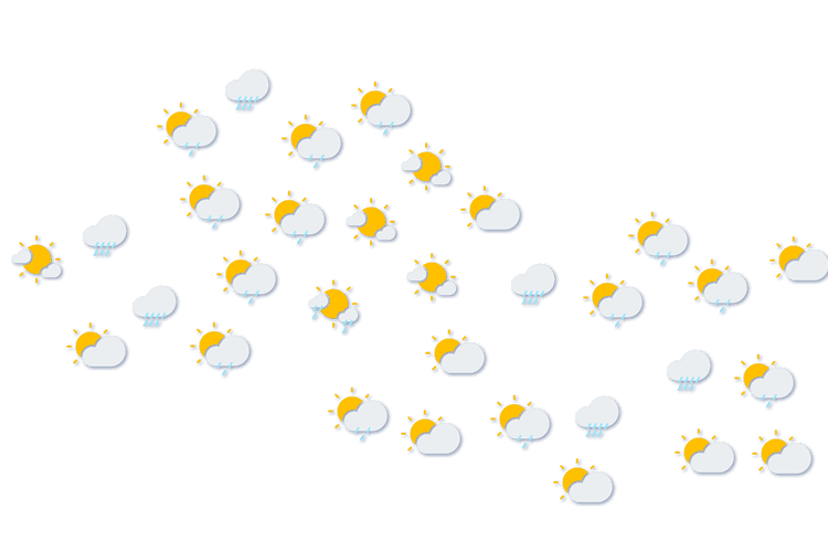 Forecast