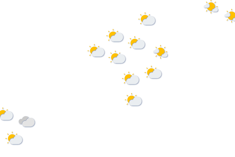 Forecast
