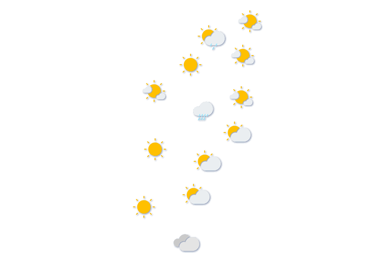 Forecast