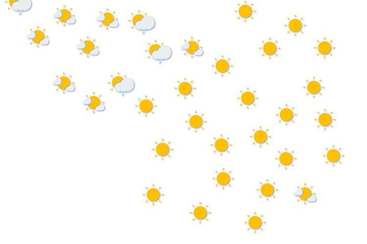 Forecast