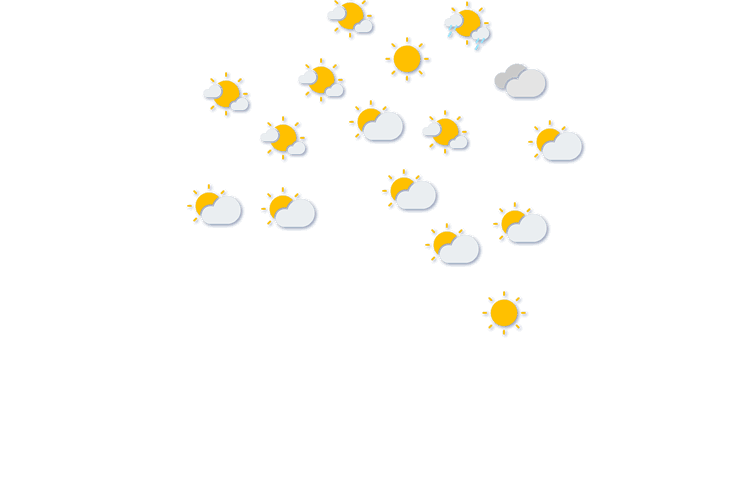 Forecast