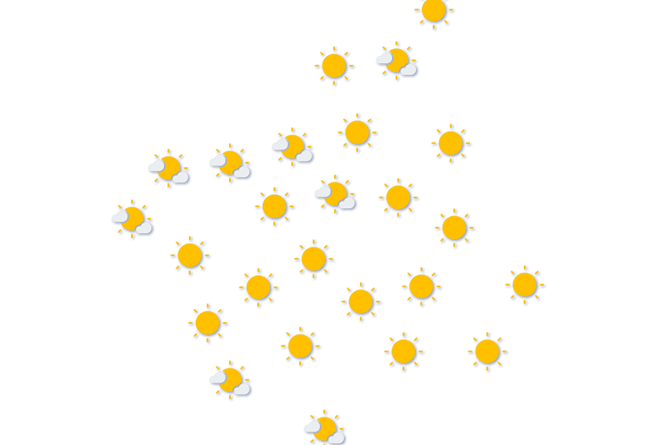 Forecast