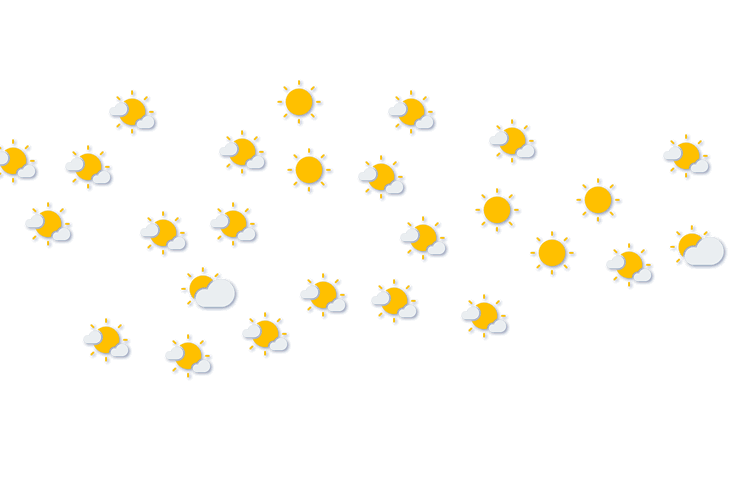 Forecast